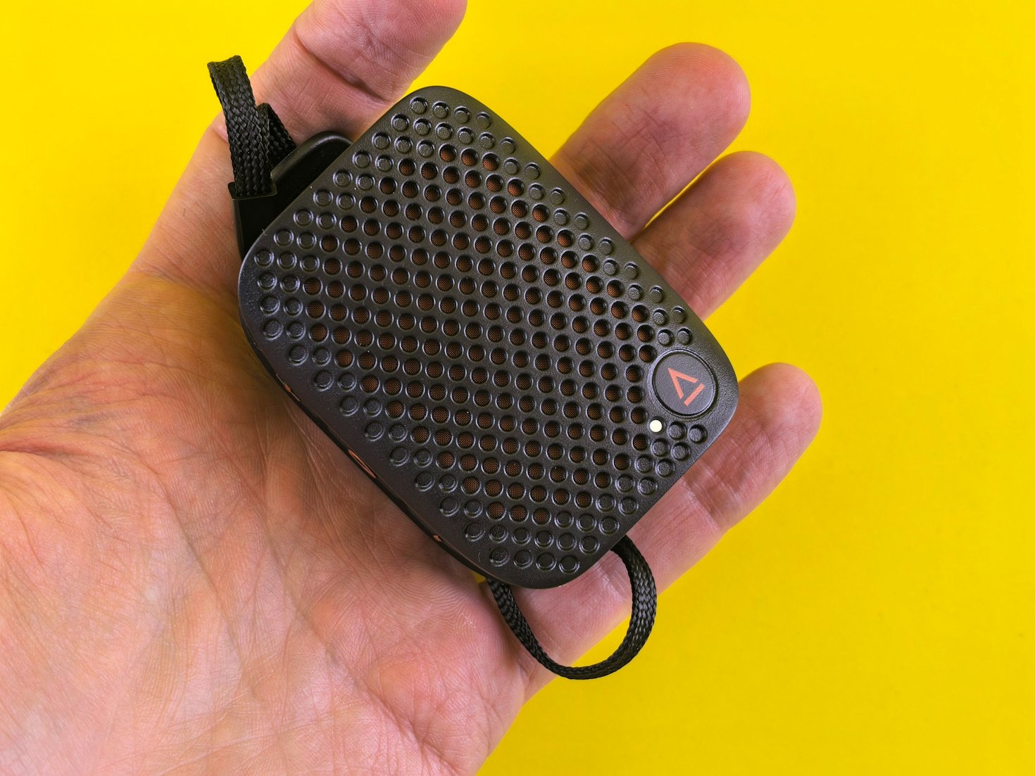 Discover Your Next Favorite Item Today